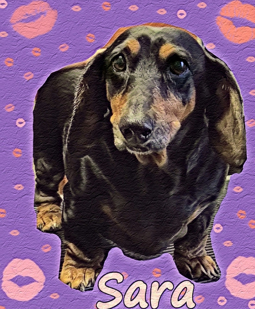 Sara