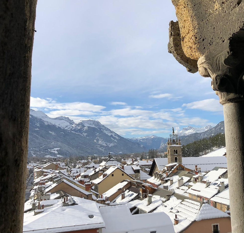 vue de barcelonnettedepuis la tours cardinalis