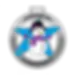 Médaille de ski ESI