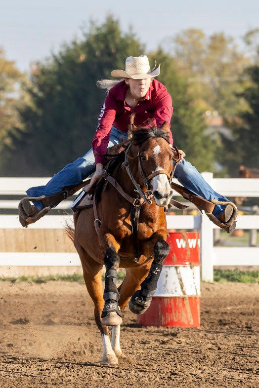 Brigden Fair MWHS Show 2026
