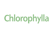 Representante Chlorophylla