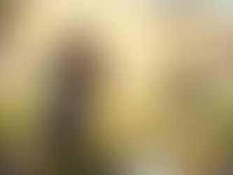 Dom da pacificação: Bem-aventurados os pacificadores | Devocional Diário