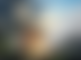 Consolo para a culpa passada - Onde abundou o pecado (Romanos 5:20) | Devocional Diário