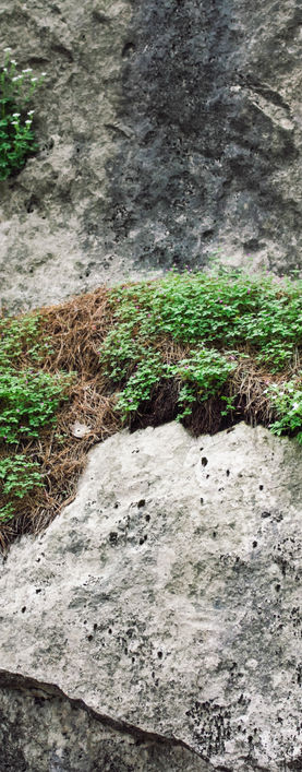 Concrete Shotcrete Retaining