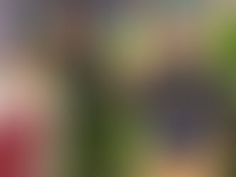 花ますの嫁ちゃん|花屋修行をはじめます