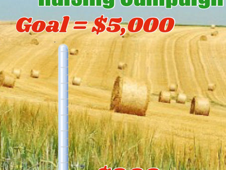 Update!! Sizzling Summer Hay Raising Campaign!