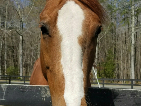 Look at this cute face!