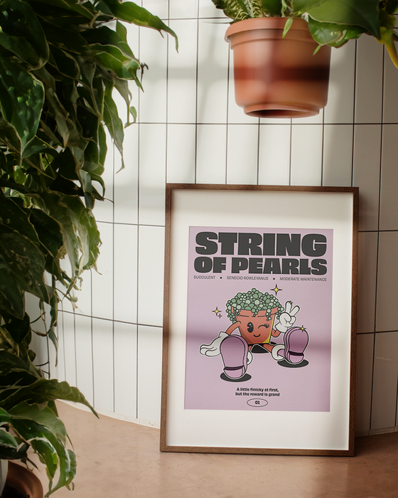 String of Pearls poster with a cartoon plant; on white tiles