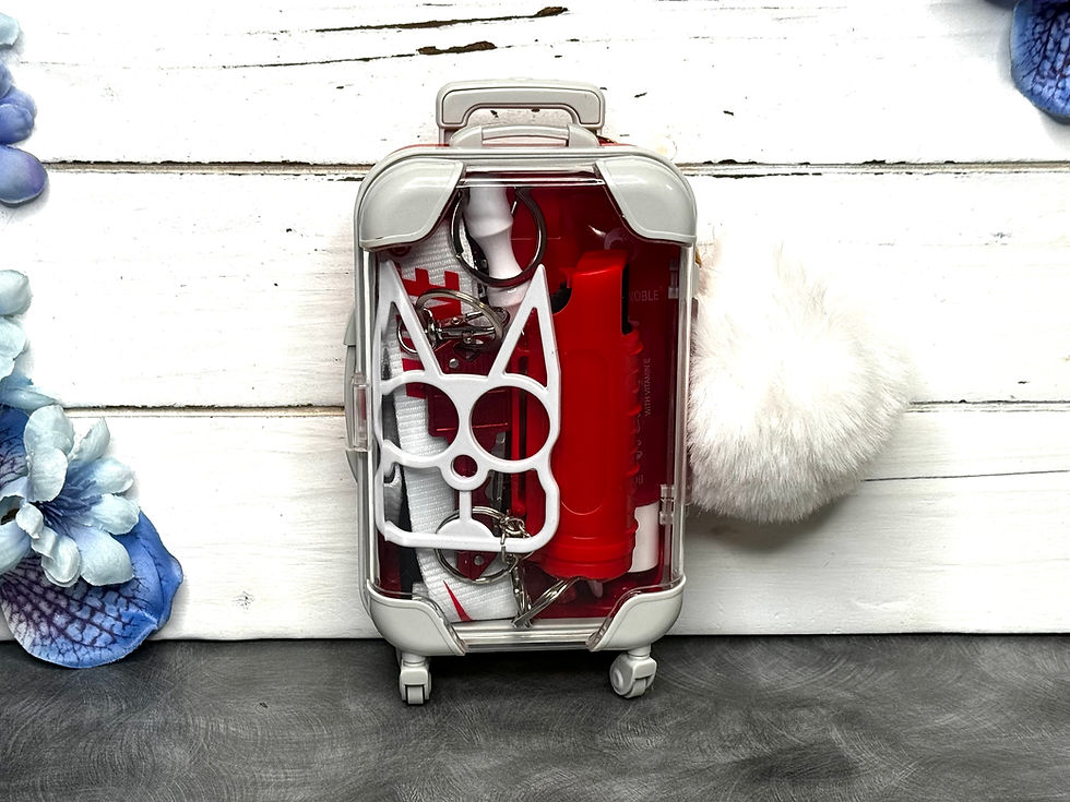 Mini Suitcase safety keychains with stun gun