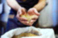 AdobeStock_152059869.jpeg