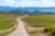 Camino-Route-Photo-for-Web.jpg