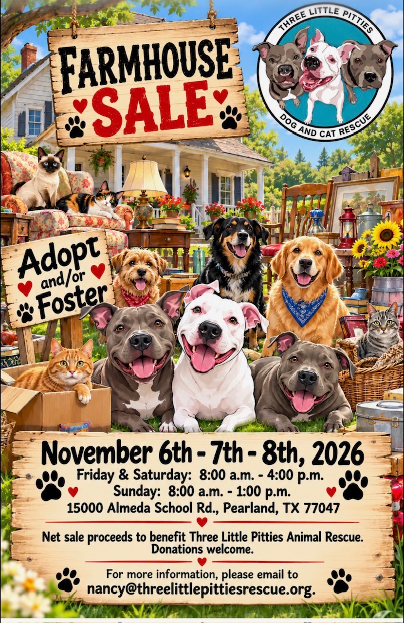 Save Lives With Us! Volunteer/Foster Newsletter