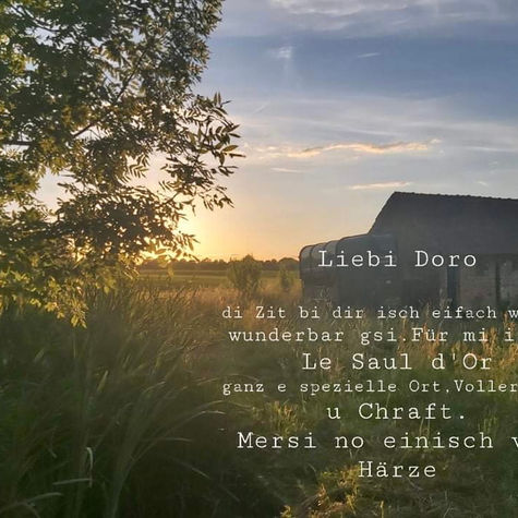 SEIT GUT EINEM JAHR …