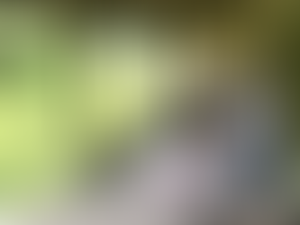 FERTIG IST SIE 🥳…