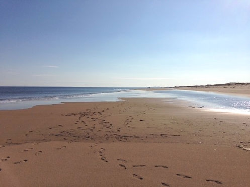 The beach at Plum Island, MA
