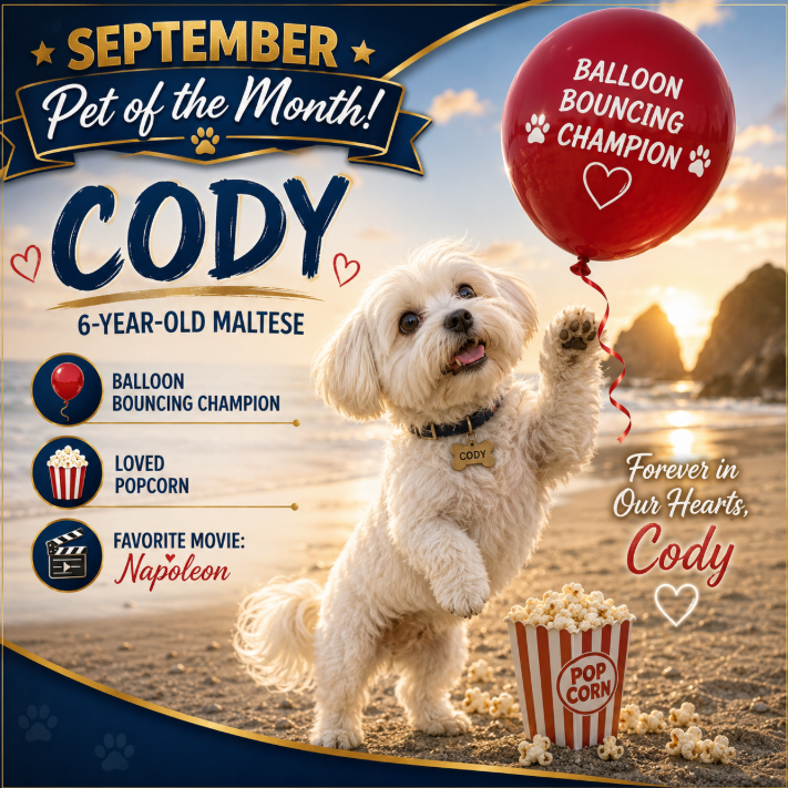 pet of the month septmemebr cody non promotional.png