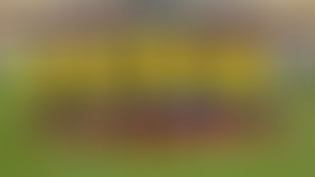 AMISTOSO: PRECIOS para Ecuador VS Honduras