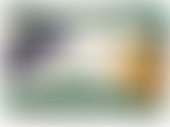 Where Can I Buy Wasa Pc Full .zip X32 Final