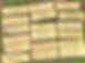 357752600_868735624648529_5419990880189513361_n.jpg