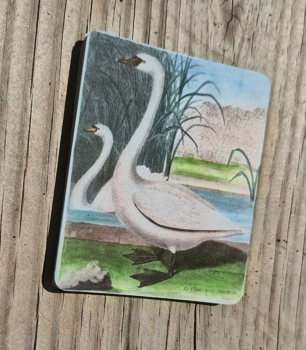 Thumbnail: French Bird Cards