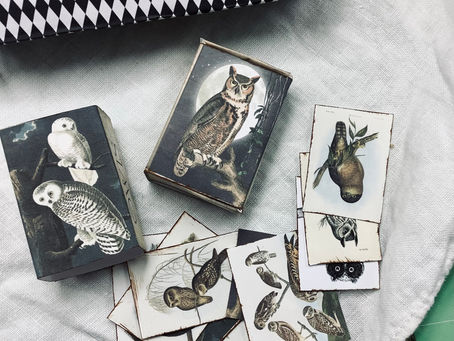 Owls Printable Matchbox Subscriber Freebie