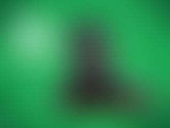 raccoon on suitcase with money