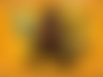 a happy raccoon bandit who won money