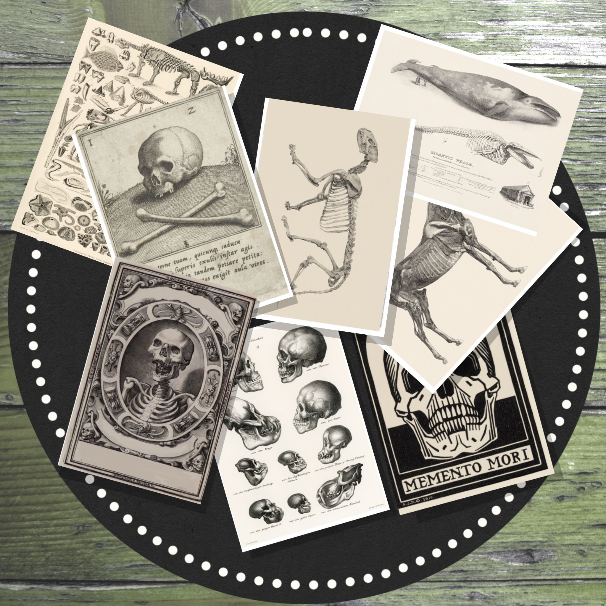 Skeleton and Skull Journal Cards Set of 8, Ready to Print