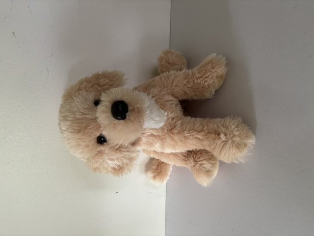 Douglas Noodle Golden Doodle Plush 2000 UPC #767548162927