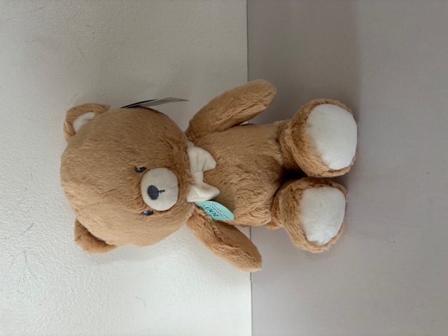 Gund Baby Clove Bear Plush UPC #778988444825