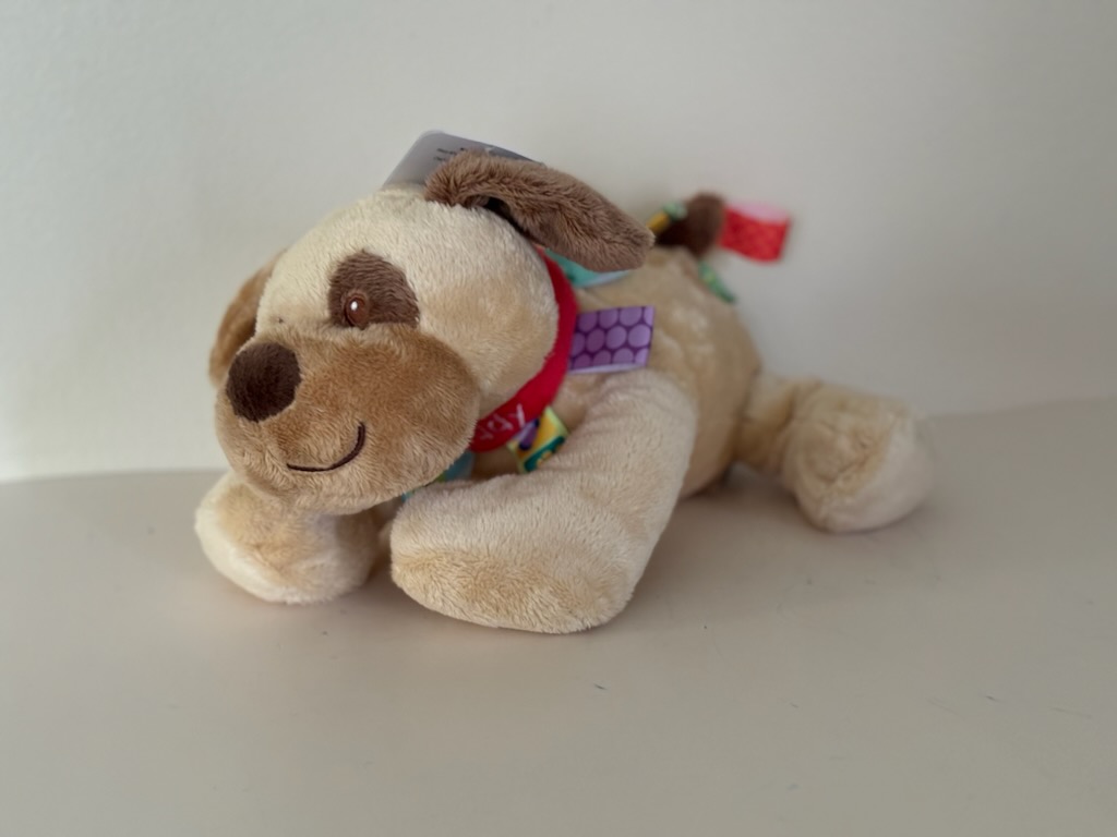 Mary Meyer Buddy Dog Taggies Plush UPC #719771317414