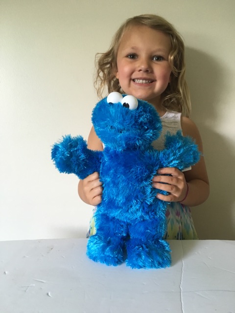 Gund Plush - Cookie Monster UPC #028399753529