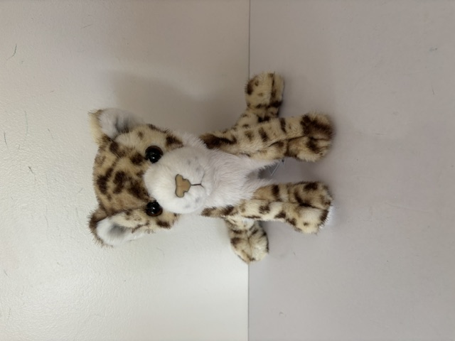 Douglas Scrappie Wild Cat Soft Plush 4582 UPC #767548160251