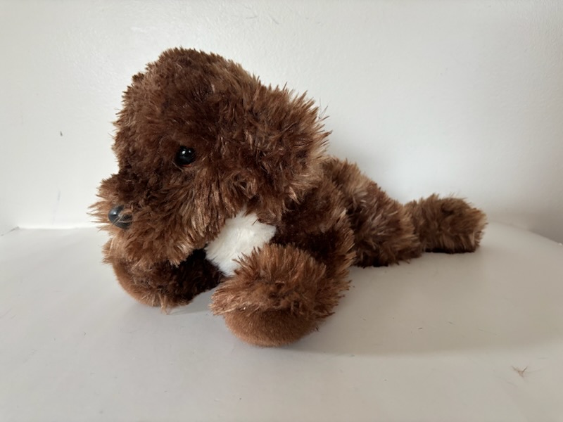 Douglas Darby Doodle Plush 2056 UPC #767548160275