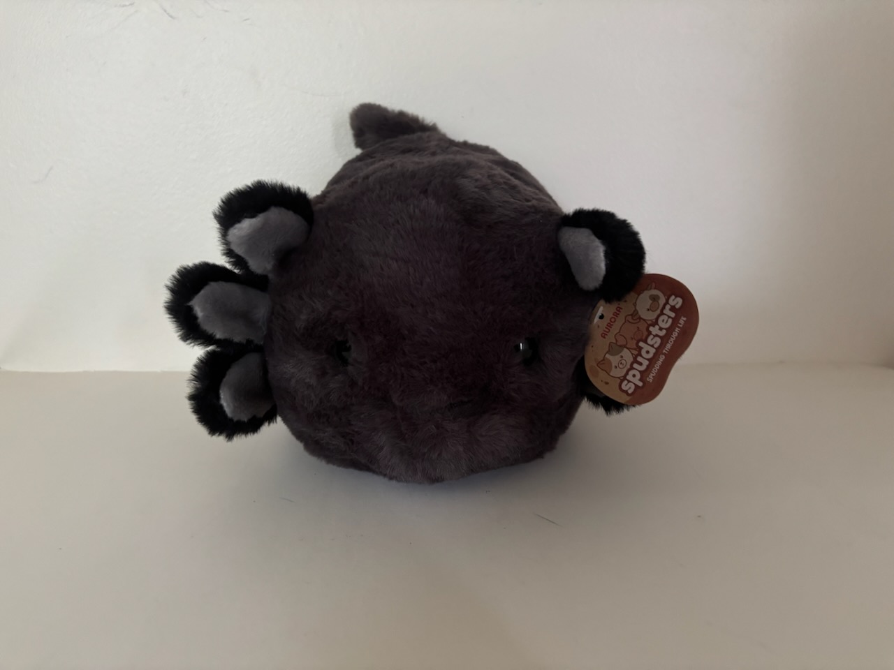 Aurora Ally Black Axolotl Spudster UPC #092943343634