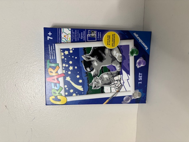 Ravensburger Creart Moonlight Friends Painting by Numbers UPC #4005556259366