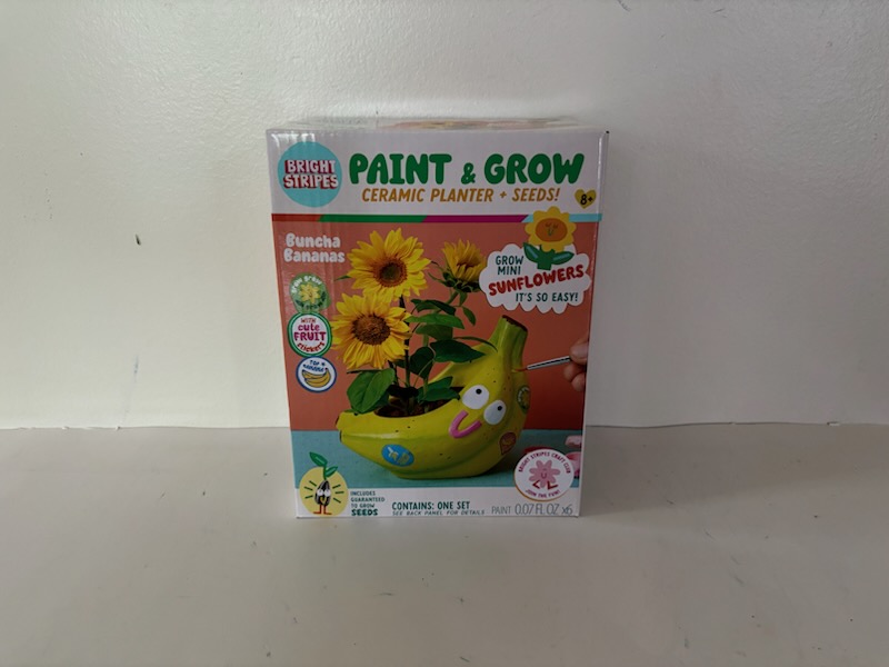 Bright Stripes Paint & Grow Ceramic Planter & Seeds UPC #810169160411
