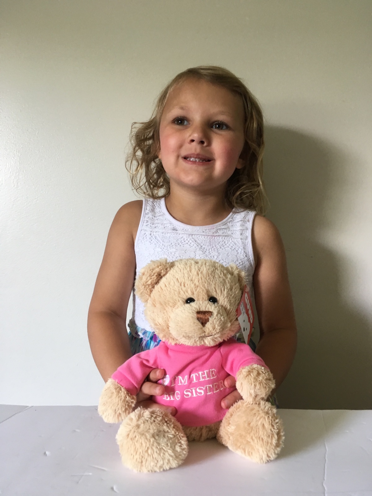 Gund I'm The Big Sister Plush Bear UPC #028399011667