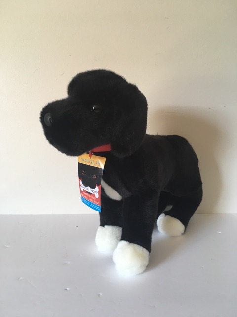 Douglas Rescue Pups - Twister Black Pit-Lab Mix #2024 UPC #767548141236