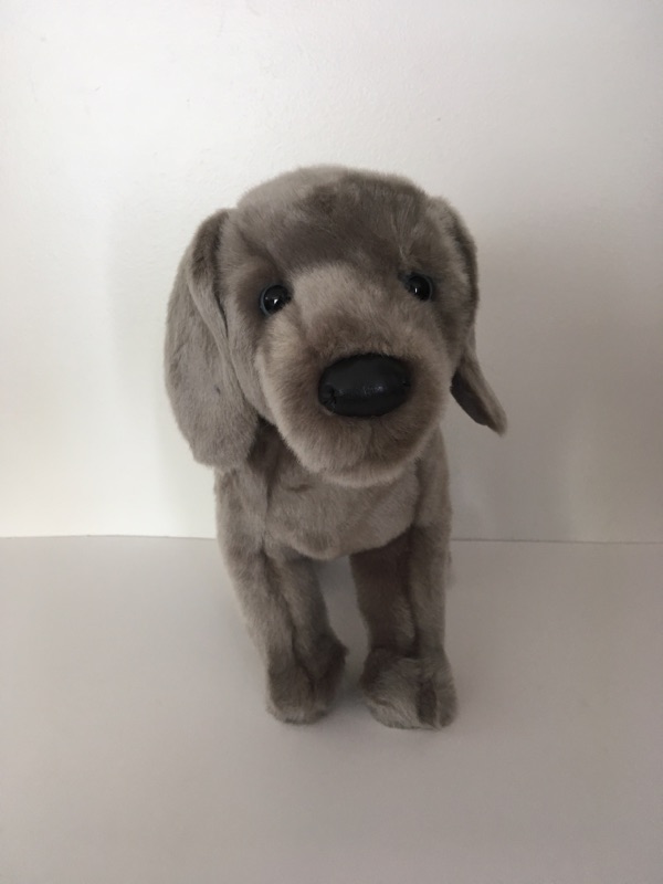 Douglas Cassie Weimaraner Plush Dog 2016 UPC #767548131022