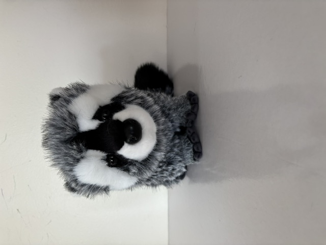 Douglas Roz Raccoon, Dlux Plush 2428 UPC #767548163559