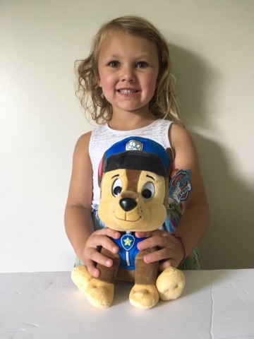 Gund Paw Patrol Chase Plush UPC #778988481752