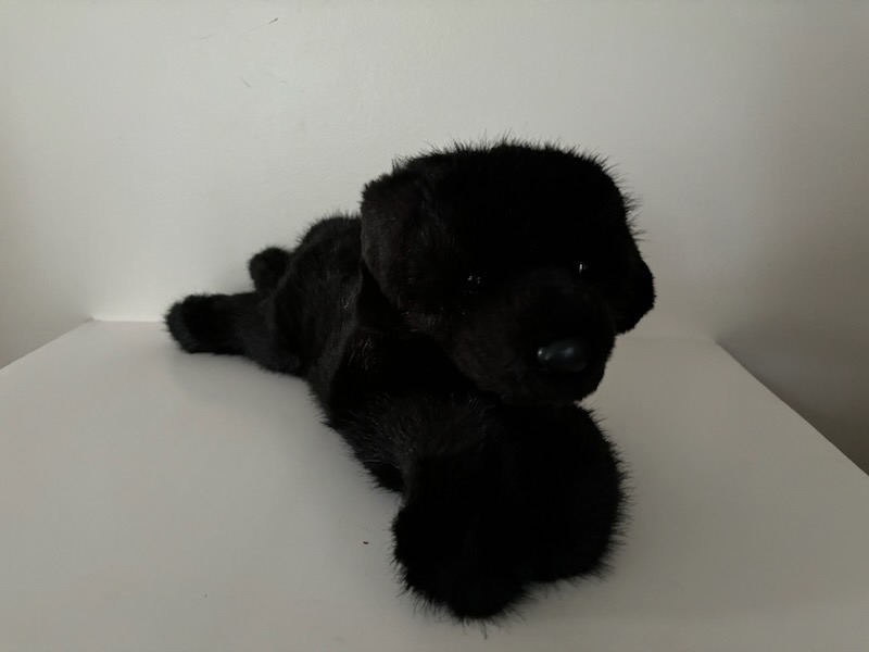 Douglas Jake Black Lab Plush 2449 UPC #767548150047