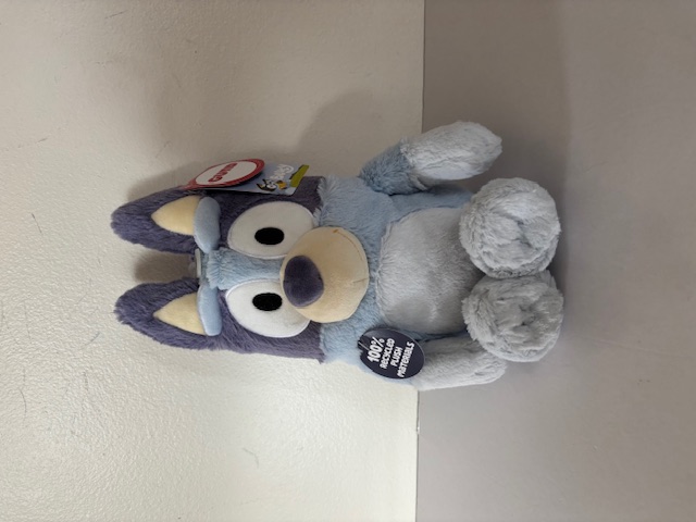 Gund Bluey Plush UPC #681147074491
