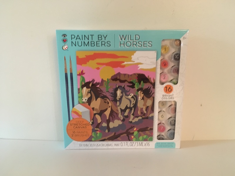 Bright Stripes Paint by Number Wild Horses UPC #6972569240965