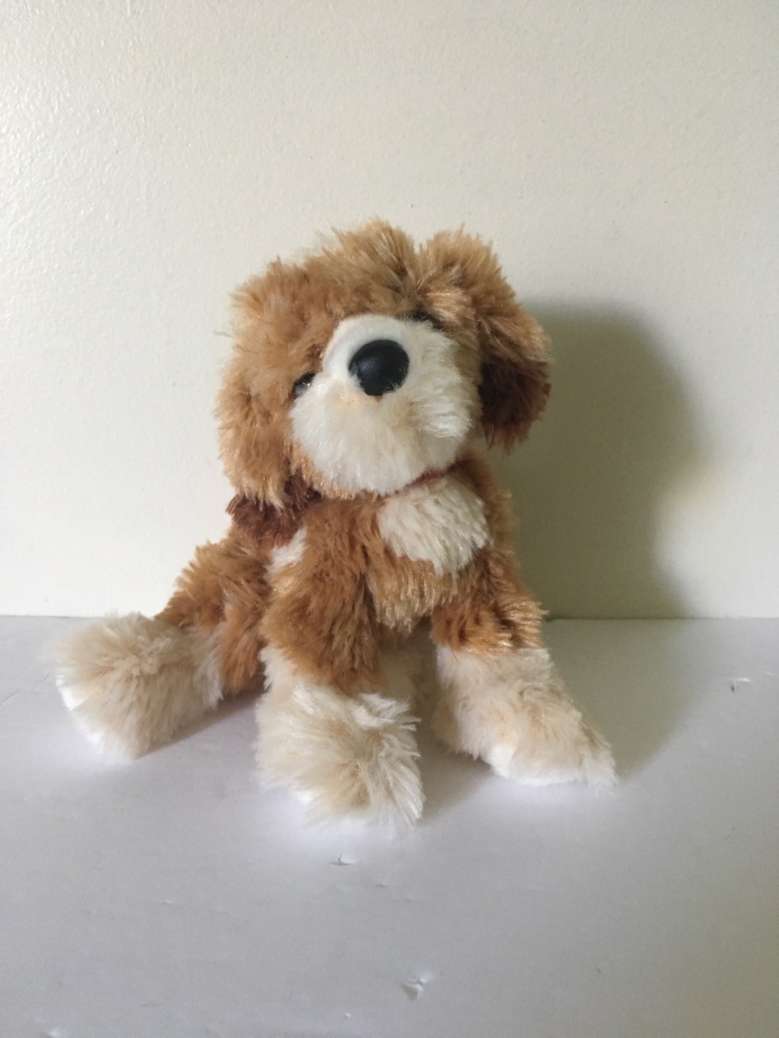 Douglas Buttercup Doodle Mix Pup with Red Collar #15255