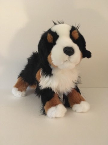 Douglas Trevor Bernese Mountain Dog #2025 UPC #767548110393