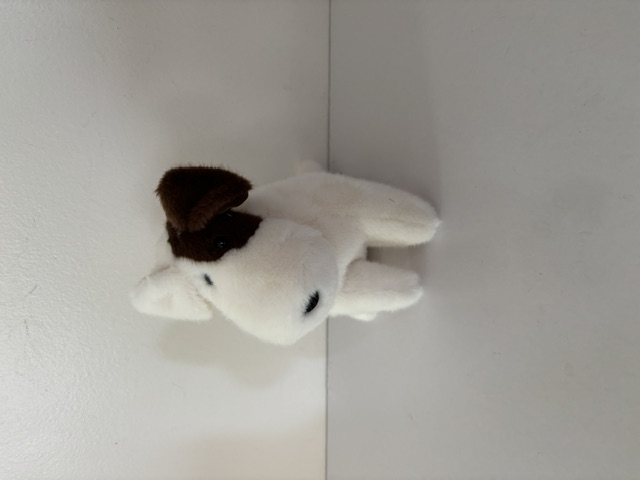 Douglas Tammy Dog Muzzle Plush 7300 UPC #767548162767