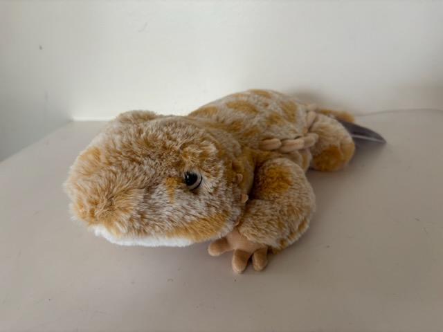 Douglas Boogie Bearded Dragon Plush 4695 UPC #767548158876