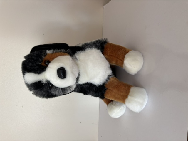 Douglas Aspen Australian Shepard Plush 2430 UPC #767548164457